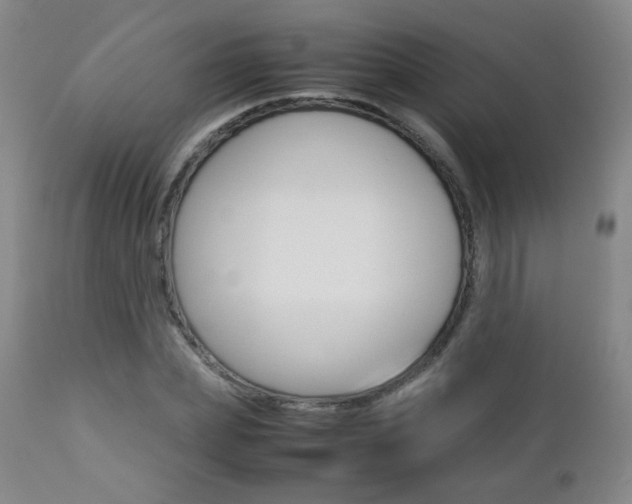 X0000112770831200908201348