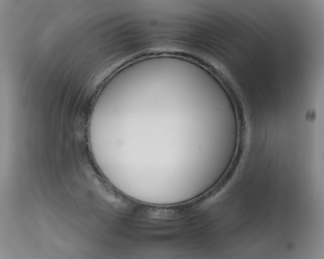 X0000112770833200908201348