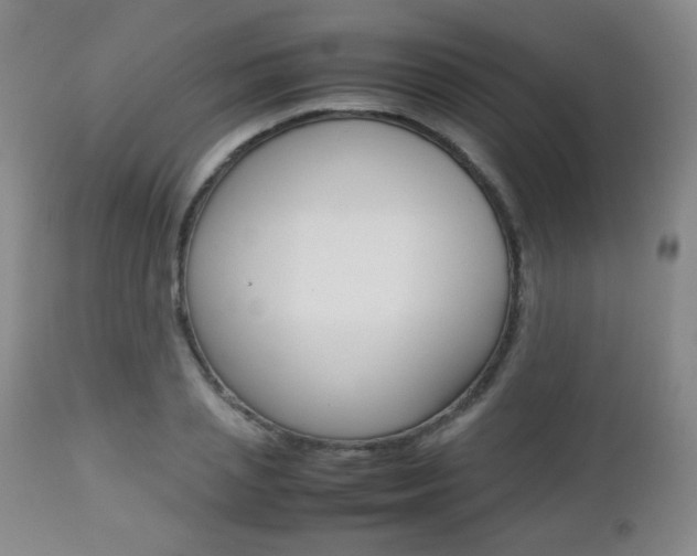 X0000112770837200908201348