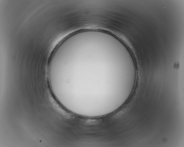 X0000112770839200908201348