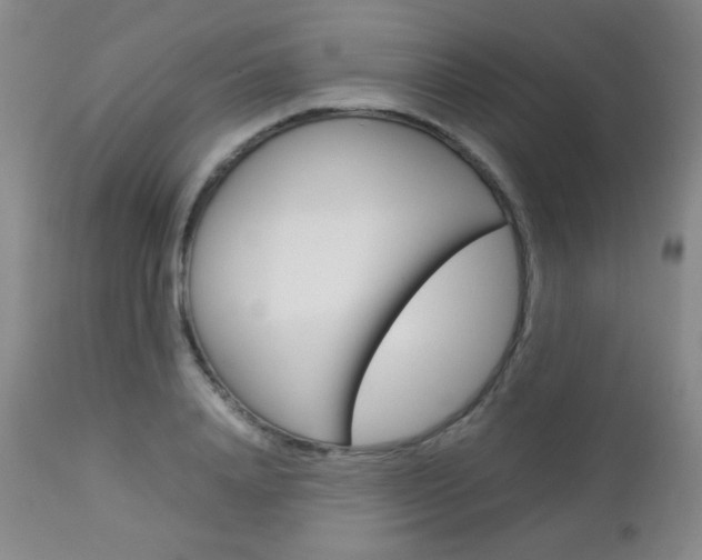 X0000112770840200908201348