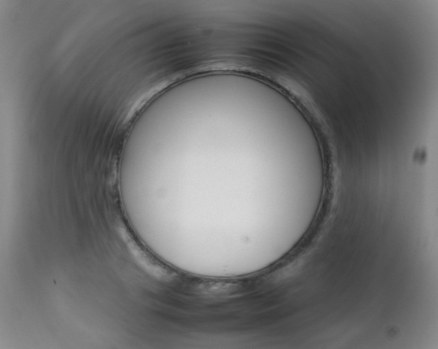 X0000112770841200908201348
