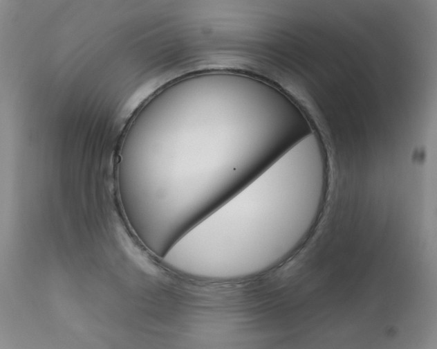 X0000112770842200908201348