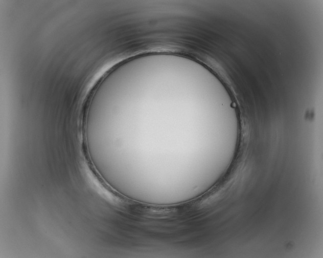 X0000112770843200908201348