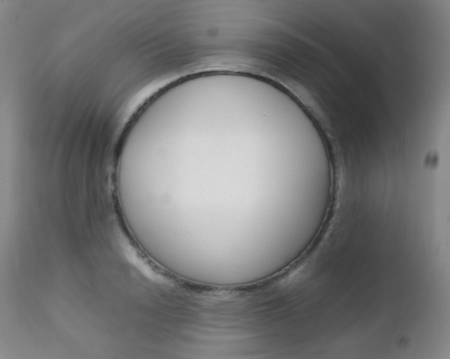 X0000112770846200908201348