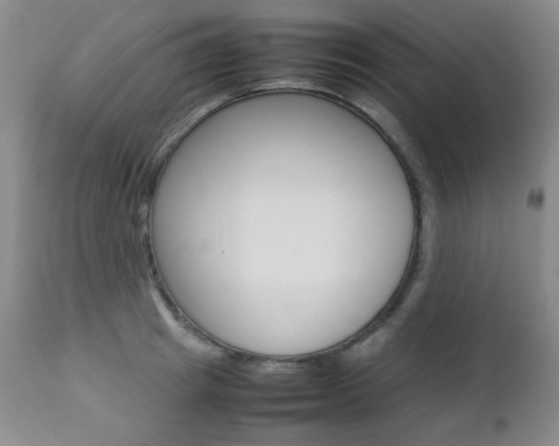 X0000112770849200908201348