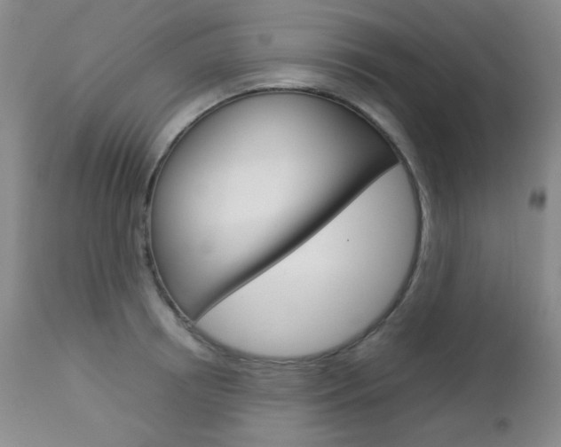 X0000112770850200908201348