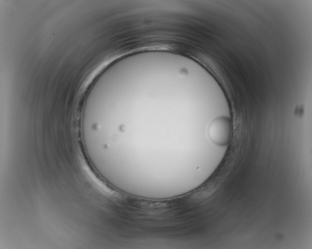 X0000112770851200908201348