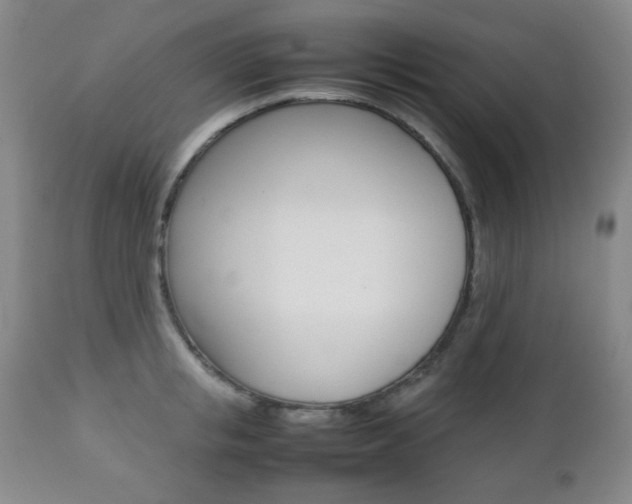 X0000112770853200908201348