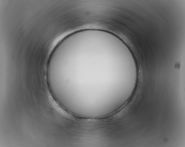 X0000112770854200908201348