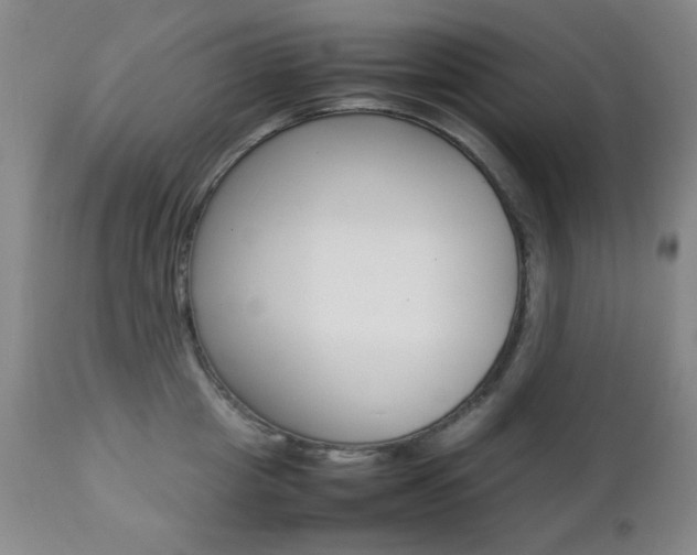 X0000112770857200908201348