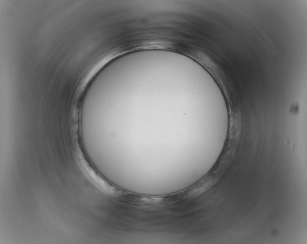 X0000112770859200908201348
