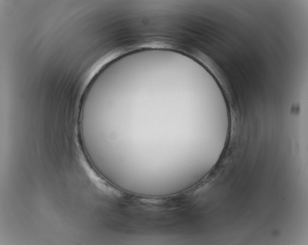 X0000112770861200908201348