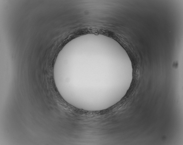 X0000112770865200908201348