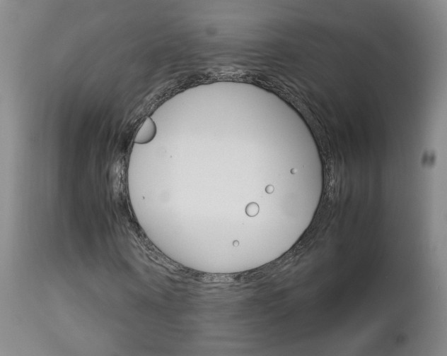 X0000112770866200908201348