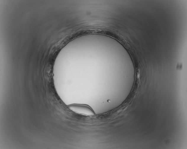 X0000112770867200908201348