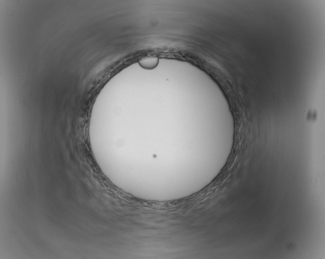 X0000112770869200908201348