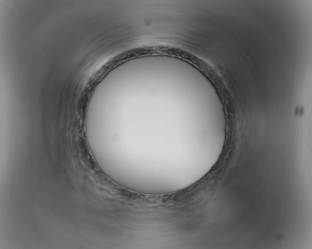 X0000112770871200908201347