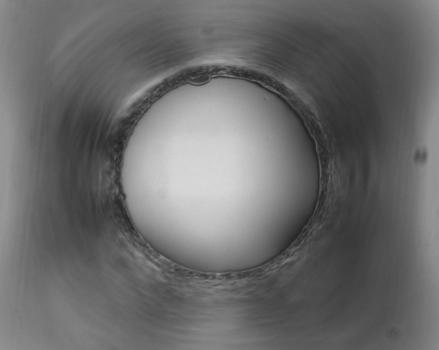 X0000112770872200908201347