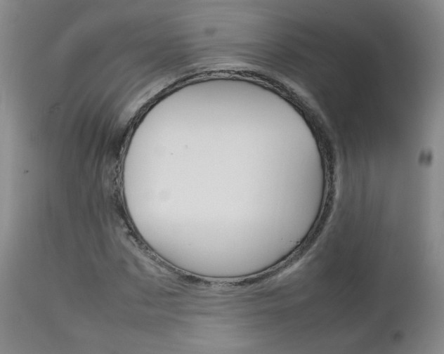 X0000112770873200908201347