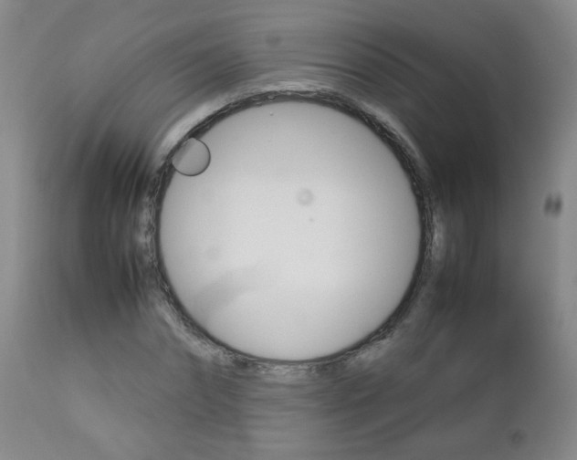 X0000112770874200908201347