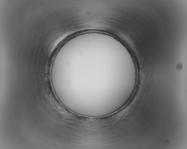 X0000112770875200908201347