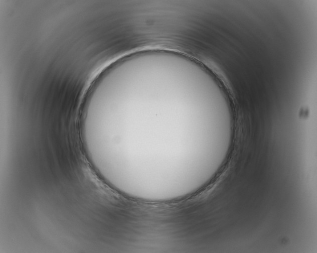 X0000112770876200908201347