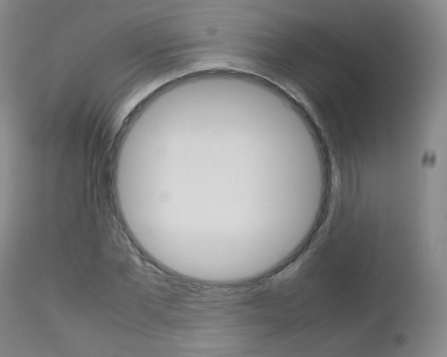 X0000112770877200908201347