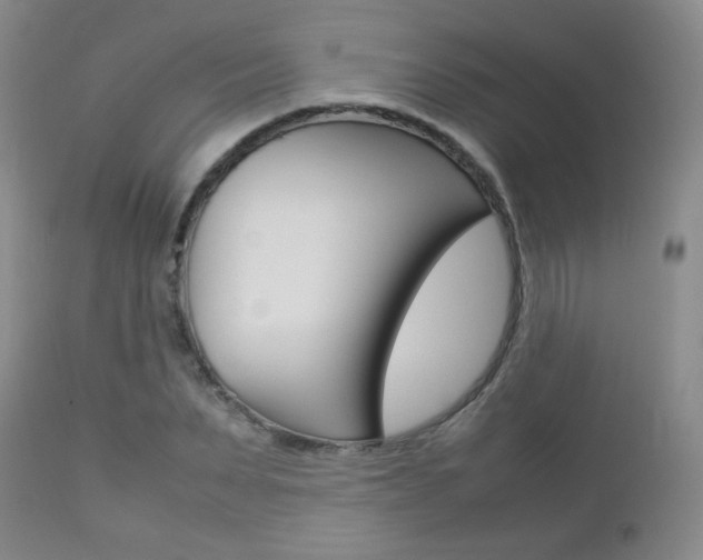 X0000112770879200908201347