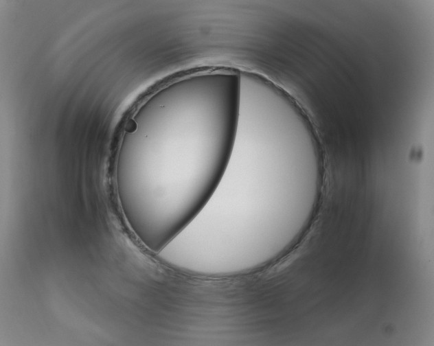 X0000112770880200908201347