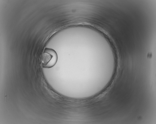 X0000112770881200908201347