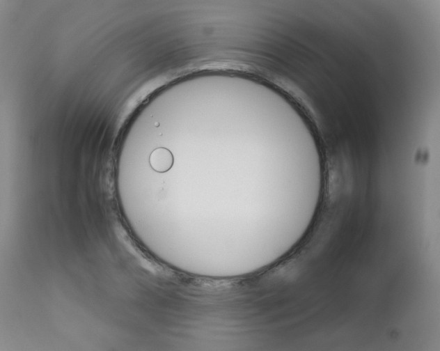 X0000112770882200908201347