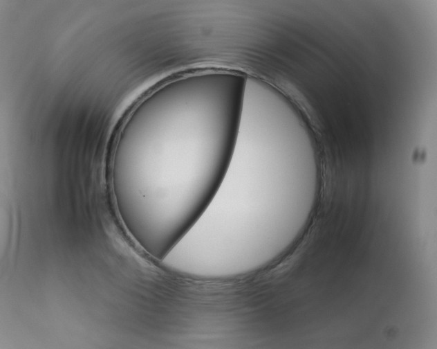 X0000112770884200908201347