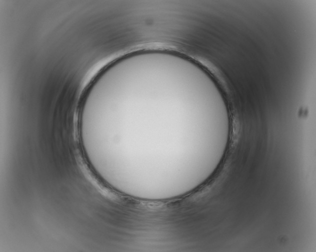 X0000112770886200908201347