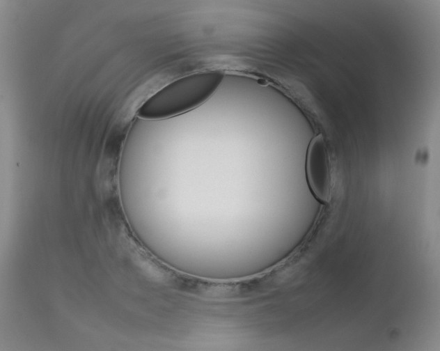 X0000112770889200908201347