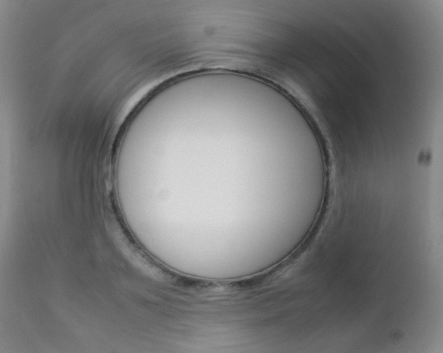 X0000112770891200908201347