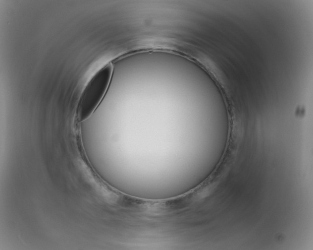 X0000112770893200908201347