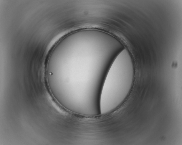 X0000112770894200908201347