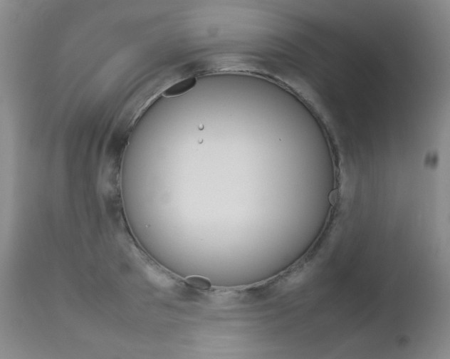 X0000112770897200908201347