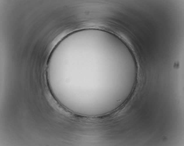 X0000112770899200908201347