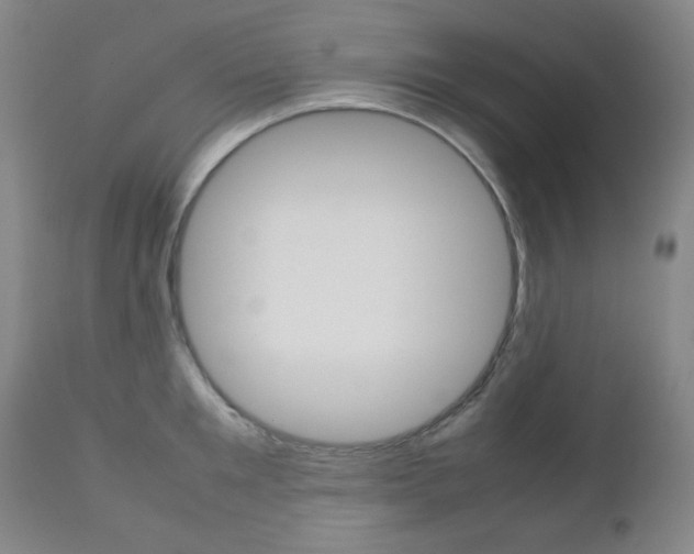 X0000112770901200908201347