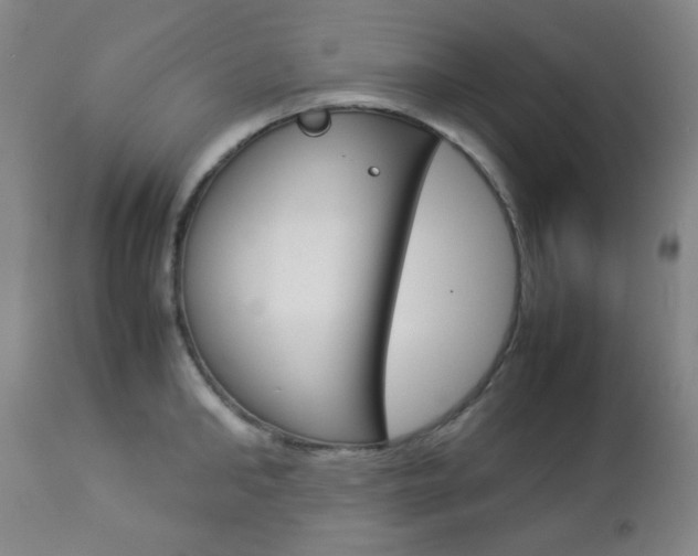 X0000112770902200908201347