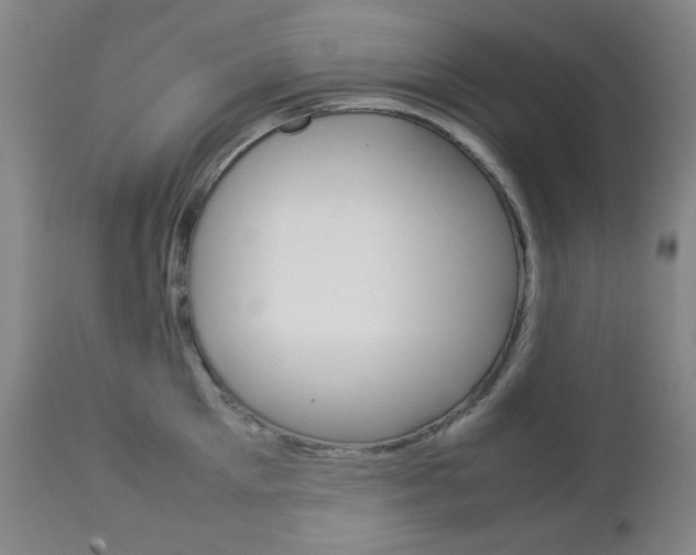 X0000112770905200908201347