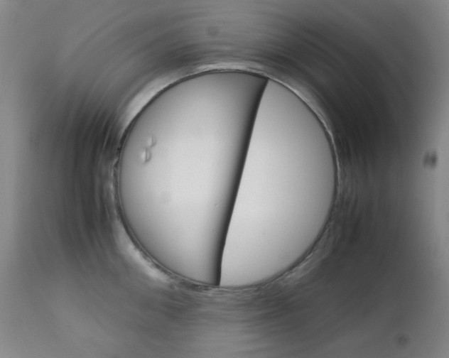 X0000112770906200908201347