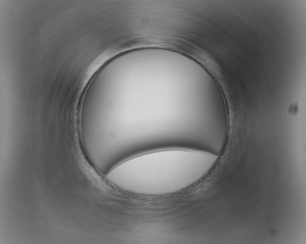 X0000112770907200908201347