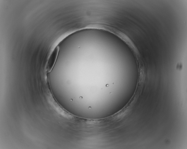 X0000112770908200908201347