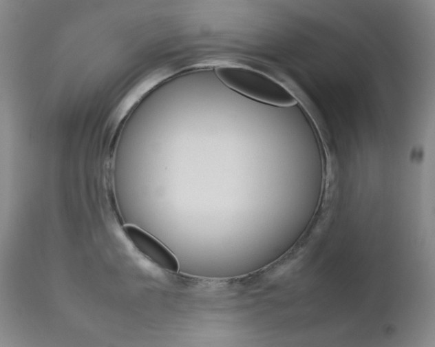 X0000112770909200908201347