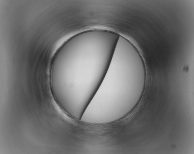 X0000112770910200908201347