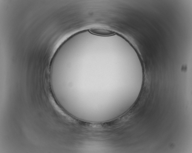 X0000112770911200908201347