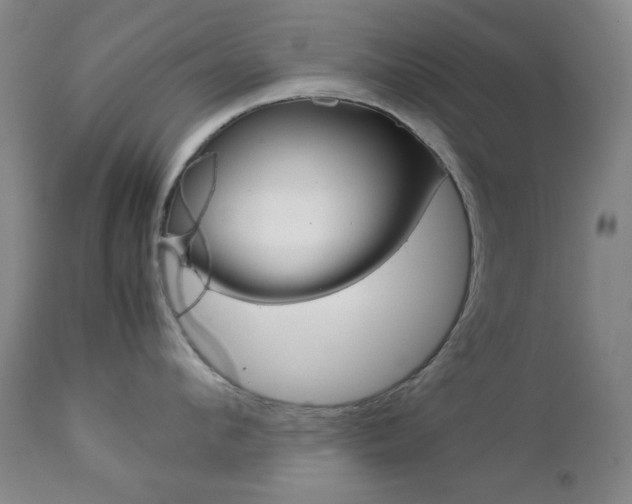 X0000112770912200908201347